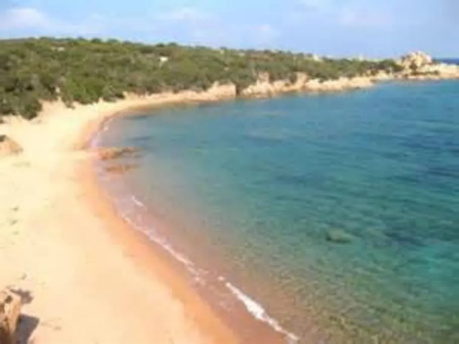 Lejlighed Appartamento Con Piscina E Aria Condizionata La Maddalena  Italien